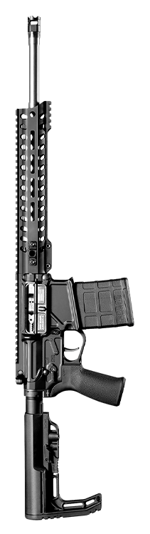 .308 WIN Rogue Direct Impingement Rifle